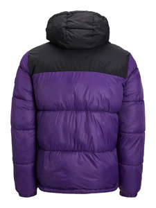 Chaqueta acolchada de invierno 2025 de alta calidad personalizada, chaqueta acolchada de burbuja para hombre, chaqueta acolchada de manga larga con cuello con capucha para hombre - Product Image 3