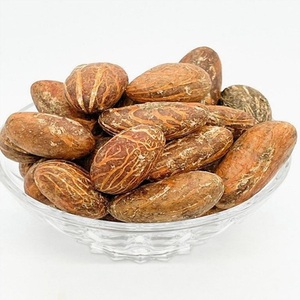 Garcinia Kola saludable (Kola amarga)/Kola amarga seca fresca/ - Product Image 1