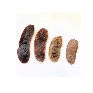 15% Flat Discount On Senna Pods 100% Herbal Natural Dried Senna Pods For Sale