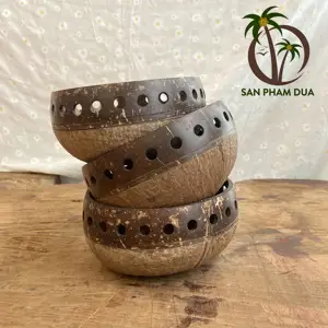 Atacado Coconut Shell Bowls design Salada Smoothie ou Coconut Shell Tigela/Servir Tigela Único Artesanato Gravado/Coconut Bowl