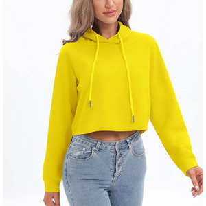 เสื้อฮู้ดดี้ผ้าฝ้ายหนานุ่มทรงหลวมสำหรับฤดูหนาว ดีไซน์ครอปท็อปสำหรับผู้หญิง ผลิตโดยโรงงาน - Product Image 1