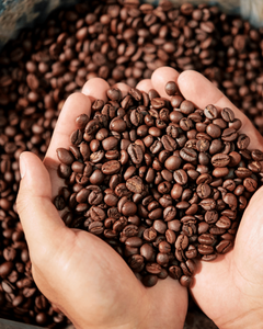 Café en grains torréfiés du Vietnam de qualité supérieure / Saveur intense - Product Image 2