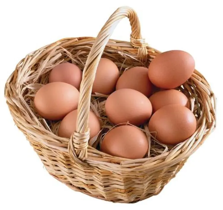 Huevos de mesa de pollo fresco de granja Huevos de pollo de cáscara marrón y blanca en estilo de Sudáfrica Estante de color Origen Canadá