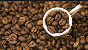 Café Robusta biologique du Vietnam, torréfié et moulu, qualité AA+, qualité supérieure, marque TNFOOD, emballage à fond plat, ISO 22000 - Product Image 2