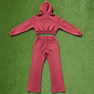 Conjunto Deportivo de Invierno Personalizado para Mujer, Pantalones Deportivos de Color Sólido de Alta Calidad, Conjunto de Dos Piezas con Sudadera con Capucha y Pantalones Jogger de Felpa Francesa - Product Image 3