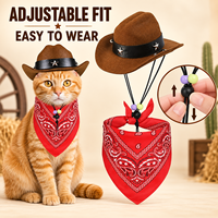 Ensemble chapeau de cowboy et bandana ajustables pour chats et petits chiens, costume western, accessoires pour Halloween et Noël