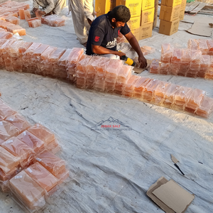 Azulejos de construcción de ladrillos de sal de roca del Himalaya con certificación ISO de calidad superior, fácil instalación, tallado en minas de Pakistán - Product Image 2