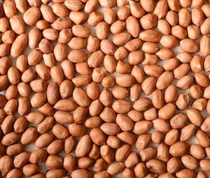 Haute qualité 100% naturel organique blanchi peau rouge crue cacahuètes noyau d'arachides disponible - Product Image 1