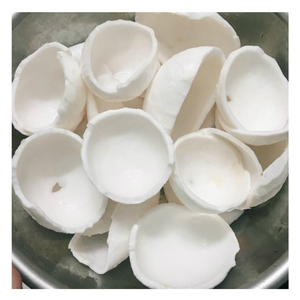 Cubes de noix de coco congelés-Provenant du Vietnam, coupe propre, idéal pour les commandes de marque privée et OEM par 99 Gold Data - Product Image 6