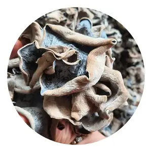 Wholesale Fungus Fungus Vietnam Manufacturer Direct Sale Cultivated Whole Part Natural Dried Black Type Ms. Lily - Product Image 1