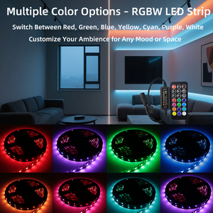 Économie d'énergie Smd 5050 Rgb Rgbw <span class=keywords><strong>Led</strong></span> Strip Light 60Leds/M App Télécommande 12V 24V 10Mm <span class=keywords><strong>pour</strong></span> salle de jeux, théâtre, rétro-éclairage <span class=keywords><strong>Tv</strong></span> - Product Image 2