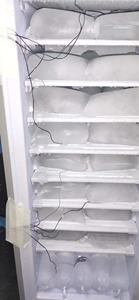 Congélateur vertical commercial 220V 198L à 10 couches intégré avec fabricant de blocs de glace solaire 70KG/jour - Product Image 2