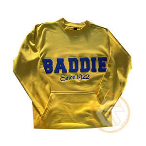 Sweat-shirt brodé personnalisé de haute qualité pour femmes Sigma Gamma Rho, automne/hiver, en molleton de coton 500g, écologique - Product Image 1