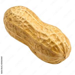 ถั่วลิสงอบกรอบคุณภาพสูง รสเค็ม ไม่มีเปลือก บรรจุสุญญากาศ - Product Image 3