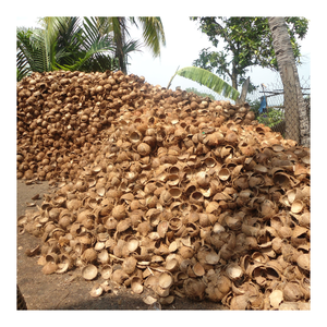 Coquille crue de noix de coco naturelle de qualité supérieure pour l'artisanat, le charbon actif, les décorations de jardin et les produits créatifs faits à la main - Product Image 2