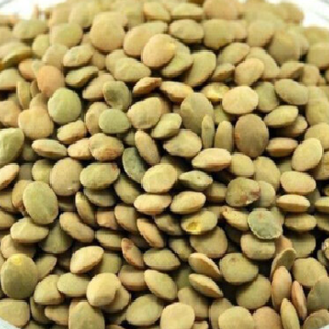 Lentilles rouges à haute teneur en protéines pour la transformation des aliments - Product Image 4