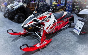 IDEAL PARA: Usado, 2018, Sidewinder L TX LE 50th - Product Image 4