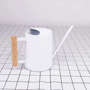 Arrosoir en métal de jardin efficace conçu pour les besoins d'arrosage quotidiens offrant une construction robuste et un débit d'eau contrôlé - Product Image 4