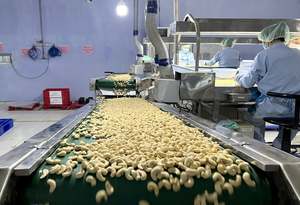 เม็ดมะม่วงหิมพานต์เวียดนามคุณภาพพรีเมียม เกรด WW180 WW210 WW240 WW320 บรรจุภัณฑ์แบบถุงสุญญากาศ/กระป๋อง สำหรับขายส่ง ผลผลิตใหม่ - Product Image 6