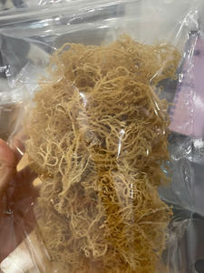 Mousse de mer blanche séchée sans sel, mousse de mer pure eucheuma séchée, mousse de mer irlandaise séchée avec divers emballages du Vietnam - Product Image 3