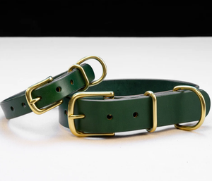 High Quality Green Leather Hound Dog <b>Collar</b> for Greyhound and Whippet - Product Image 3