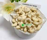 Vietnam Cashewnüsse W320 W240 W180 Rohe getrocknete Nüsse, Premium-Qualität, Bulk Export Factory Supply