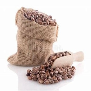 ถั่วไพน์โตสำหรับขายในราคาฟาร์ม - Product Image 3