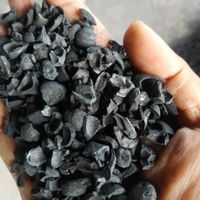 Palm Kernel Shell Charbon de bois pour le charbon actif