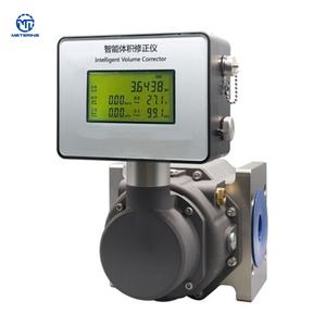 Korozyona Dayanıklı Gıda Sınıfı Gaz Akış Ölçer, Karbon Dioksit Ölçümü, Hidrojen Yakıt Hücresi Gaz Akışı İzleme için - Product Image 3