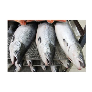 ซื้อปลาแซลมอนแอตแลนติกสดออนไลน์ - Product Image 1