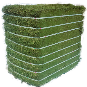 Heno de Alfalfa para alimentación Animal, calidad Premium - Product Image 1