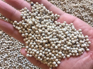 New Crop Vietnam Origin White Pepper 630GL Hierba seca fresca Sabor caliente fuerte Polvo de pimienta negra de alta calidad Procesamiento crudo AD - Product Image 3
