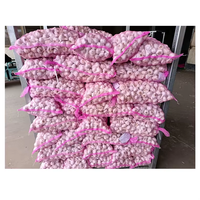 Ail frais blanc et rouge de nouvelle récolte, 5 cm, 25 kg, Chine, durée de conservation de 2 ans, à vendre