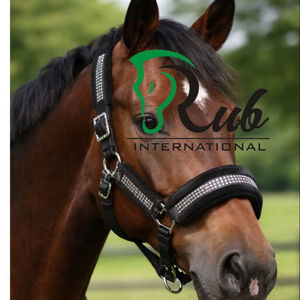 Cabestro de Lujo Internacional Rub con Cristales de Imitación, Acolchado de Forro Polar y Nylon, con Diamantes Brillantes, Premium para Equitación - Product Image 2