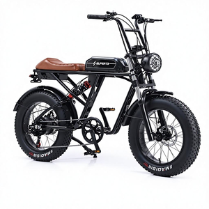 Tricycle électrique de luxe à trois roues, vitesse unique, 48V 600W, cadre en acier à haute teneur en carbone, vente en gros - Product Image 1