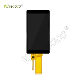 פונקציית מגע מותאמת אישית של Wisecoco 5 אינץ' לוח LCD TFT 480*854 RGB 40 פינים 300cd/m2 למצלמת בדיקה רפואית