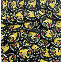 Écusson Rasta Rastafari Éthiopie Jamaïque pour T-shirt, Accessoire de Vêtement à Coudre, Brodé à la Machine, 3D, en Feutre Non Tissé Métallique