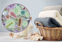 CHANTECLAIR Détergent antibactérien pour lave-linge - Linge parfumé 100g Plastique