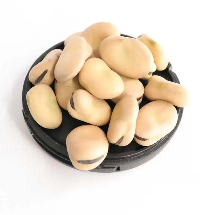 Premium High Quality Dried Broad Beans/Fava Beans