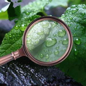 Ensemble de deux loupes pratiques HD de style contemporain pour la lecture et la recherche - Product Image 6