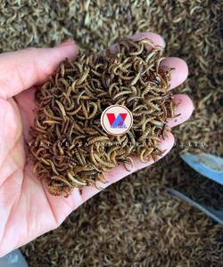 Gusanos secos de alta proteína para mascotas saludables/Ms.Katty - Product Image 3