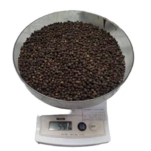 Vietnam Hot Spicy Black And White Pepper Powder Pinhead Light Berry Premium Quality from TOP Vietnam Factory-WS: +84-915355383