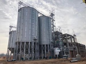 Ventes directes d'usine 100-10000ton Silos à grains en acier galvanisé pour un stockage efficace des grains - Product Image 2