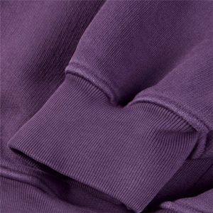 La mejor calidad 600gsm Heavyweight Premium Sudadera con capucha Jerséis de algodón Bordado Loopback Color liso Sudadera con capucha Bordado Patrón de impresión - Product Image 4