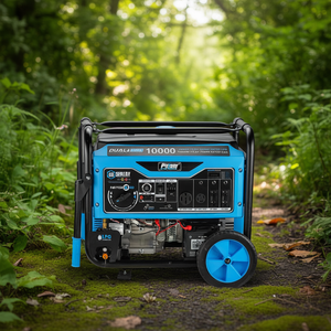 Générateur portable Pulsar CO Sentry PG10000BRCO avec capteur de monoxyde de carbone, démarrage automatique, 60 Hz, refroidissement par air - Product Image 2