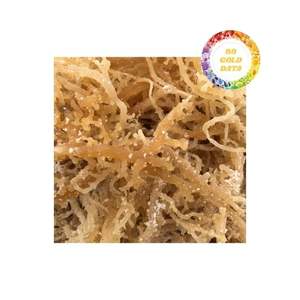 Algas Eucheuma Premium cuidadosamente seleccionadas con bajo contenido de humedad y control de impurezas de granjas costeras - Product Image 5