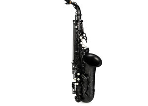 Oferta Especial: Saxofón Alto con Cuerpo de Latón - Product Image 2