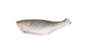 Vente chaude, bon prix, vente en gros de poisson congelé, capelines, poisson croaker congelé à vendre - Product Image 6