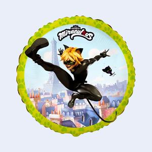 Ballon métallique Catt Noir Coccinelle 45 cm, lot de 2, pour décoration de fête, idéal pour les enfants - Product Image 1