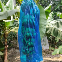 UV-bestendige PP plastic zak - Premium kwaliteit voor plastic afdekking voor bananenteelt & bescherming - 0,1 mm dikte